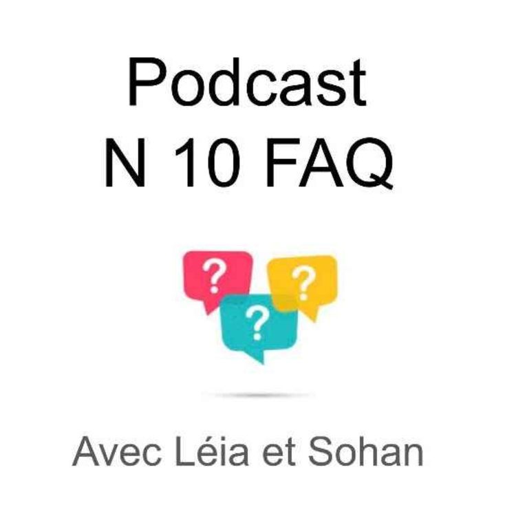 cover art for Podcast N10 FAQ avec Sohan et Léia