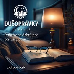 cover art for Dušoprávky