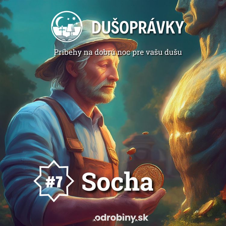 cover art for #7 Socha