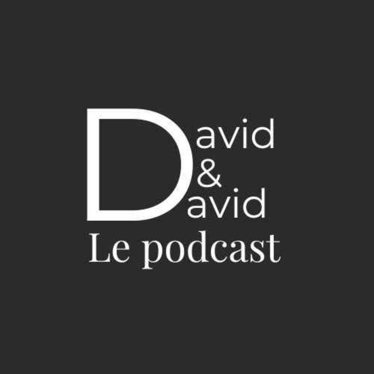cover art for #1 David & David à la plage