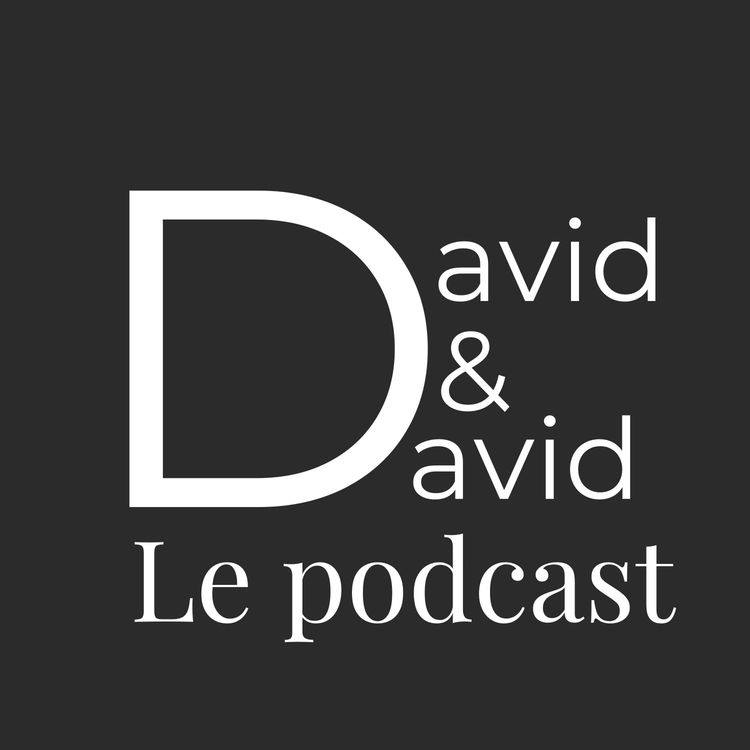 cover art for #3 David & David se font peur