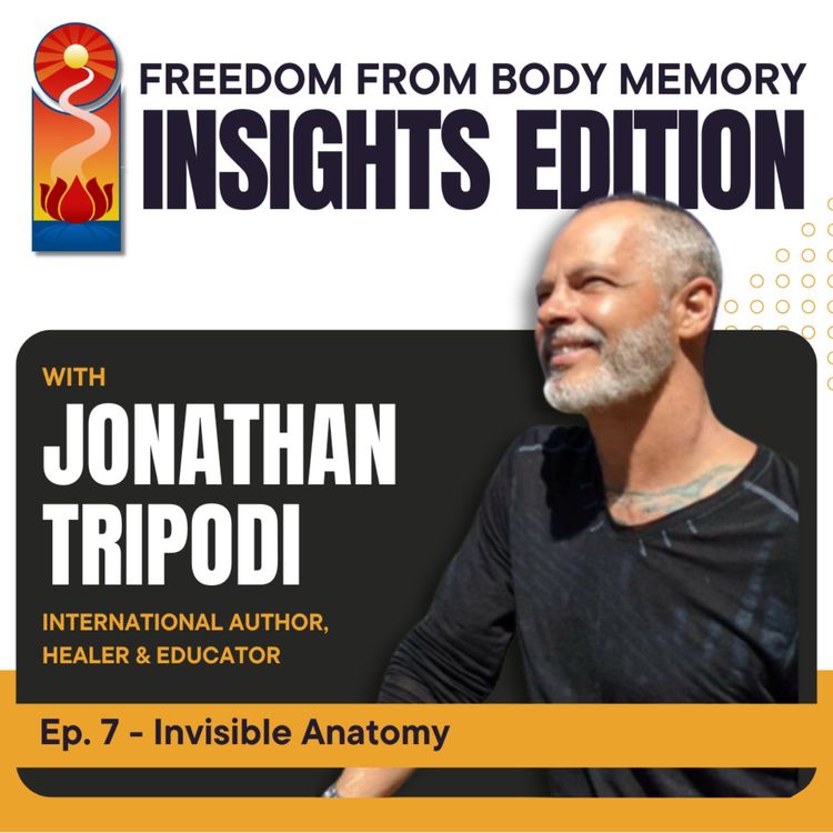 cover art for Invisible Anatomy