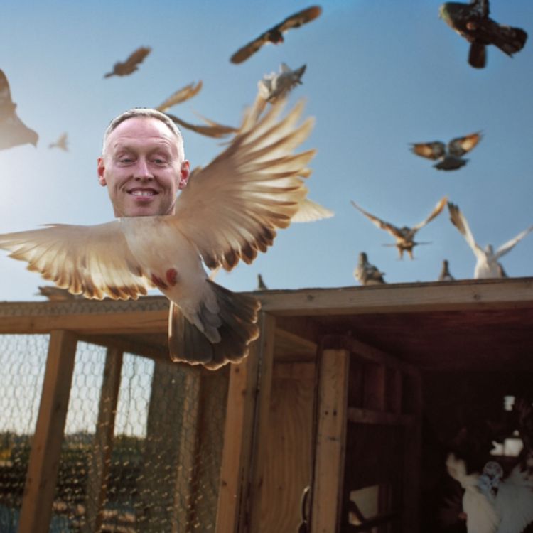 cover art for STEVE COOPER SACKED!