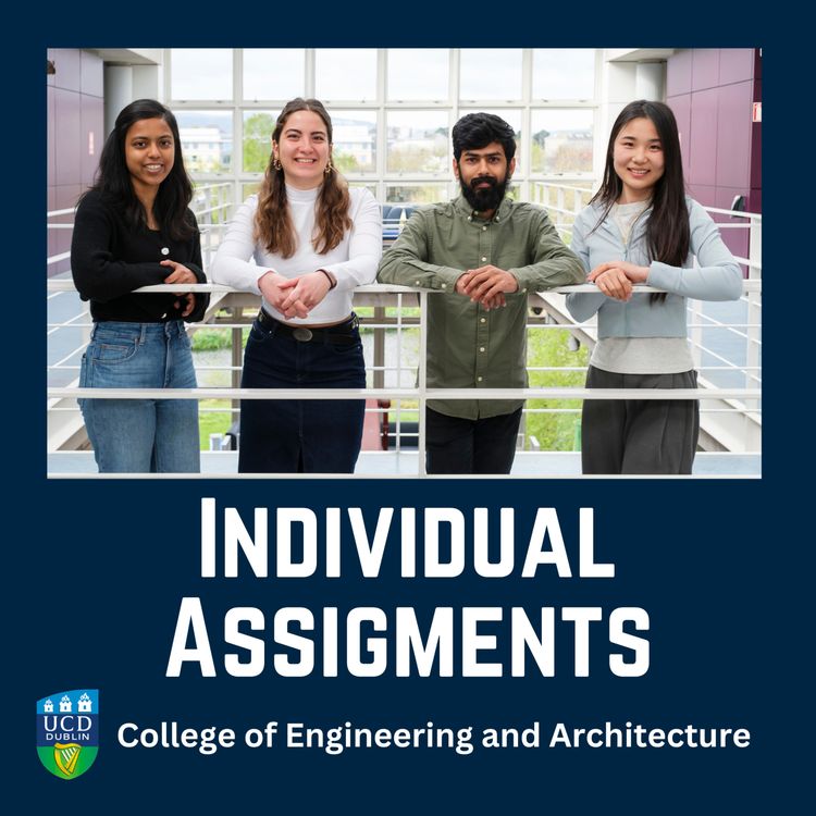 cover art for 6. Individual Assignments