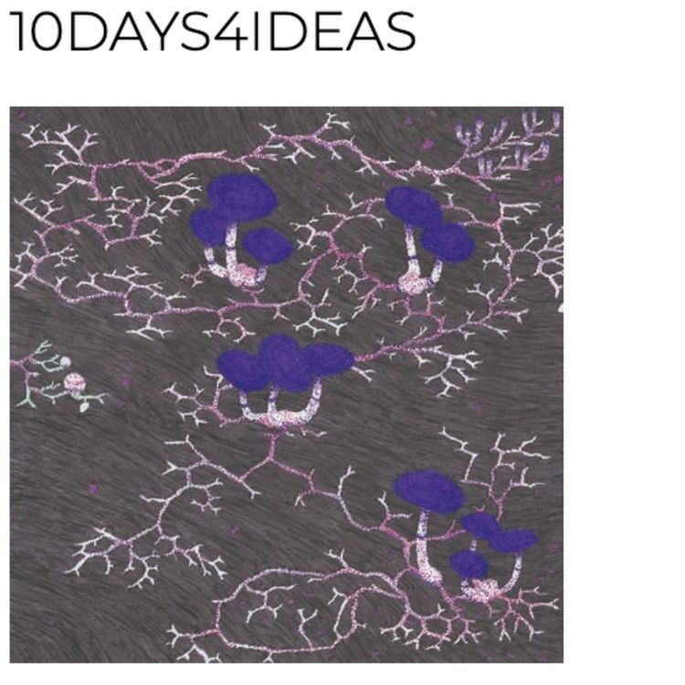 cover art for 10Days4Ideas - 11-09-21 - Camille Louis & intervenant·e·s. Retour, détours, pourtours