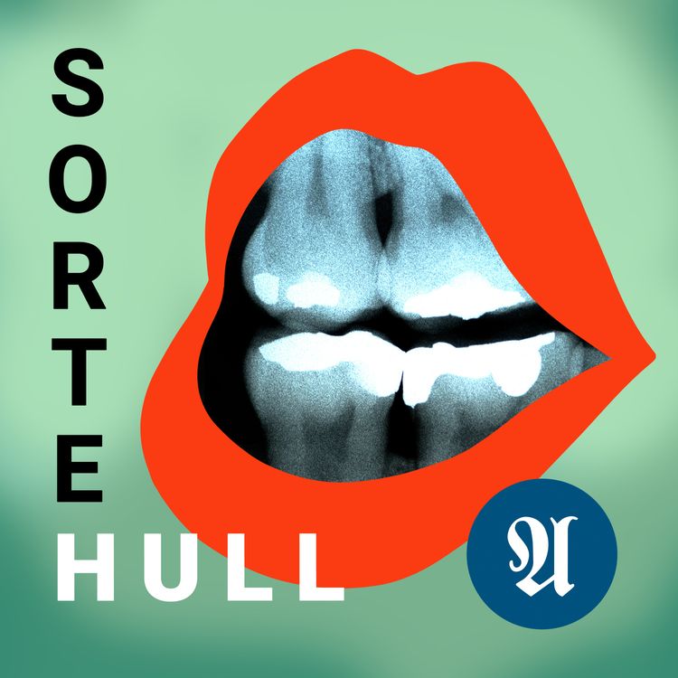 cover art for Sorte Hull