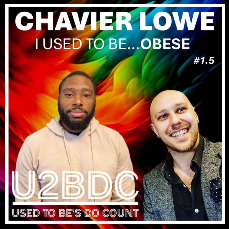 cover art for I Used To Be...Obese