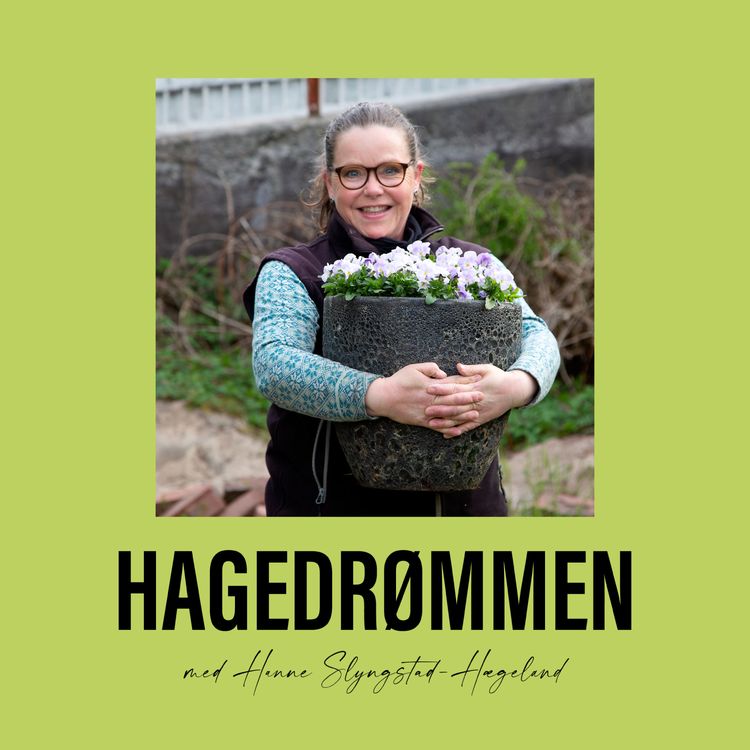 cover art for E14 - Arkitekt Nina Klungsøyrs tanker om hageplanlegging