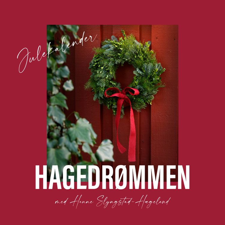 cover art for 4. desember