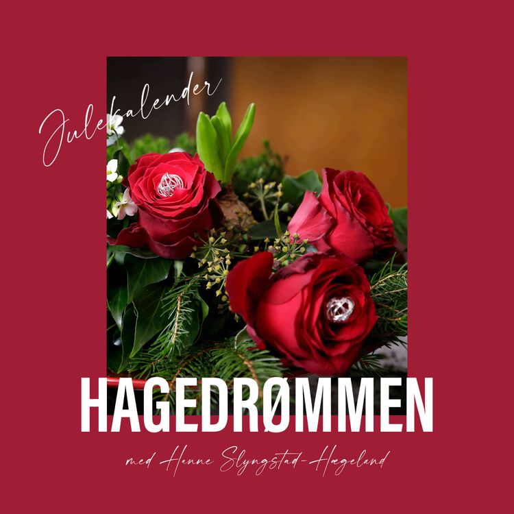 cover art for 22. desember - Om ugress i hagen
