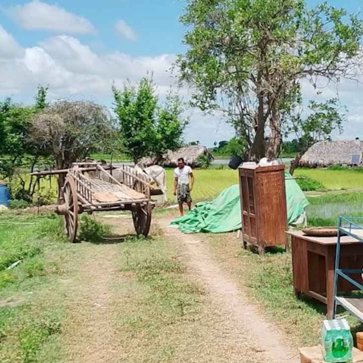 cover art for နေ့စဉ်တိုက်ရိုက်ထုတ်လွှင့်ချက် (၂ဝ၂၄ အောက်တိုဘာ ၂၃ ရက် မနက်ပိုင်း)