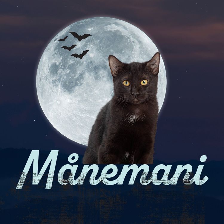 cover art for 8. Månemani: Den slu svikeren og drapsmannen Loke.