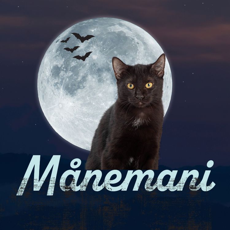 cover art for 5. Månemani: Maskens makt og klovneangst