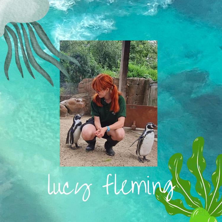 cover art for Let everyone learn the wonders of our oceans: Lucy Fleming, TikTok sensation at Lucy Talks Fish and Engagement Officer at ZSL London Zoo