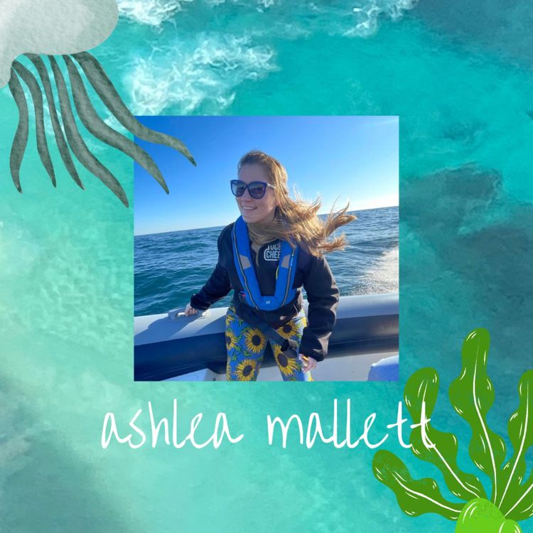 cover art for Dedicate your life to the water: Ashlea Mallett, Head of Sustainability & Campus Services at University College Birmingham