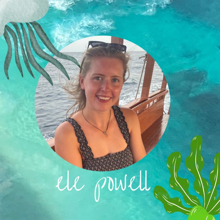 cover art for Spark the "Why" Questions: Ele Powell, Zookeeper at West Midlands Safari Park