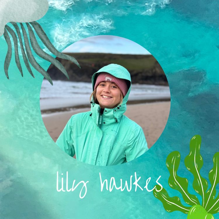 cover art for Keep the ocean relevant: Lily Hawkes, Marine Engagement Assistant at the Community of Arran Seabed Trust