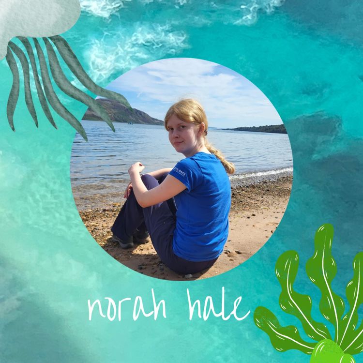 cover art for Defend the ocean, no matter what: Norah Hale, Future Ocean Activist and Nature Advocate