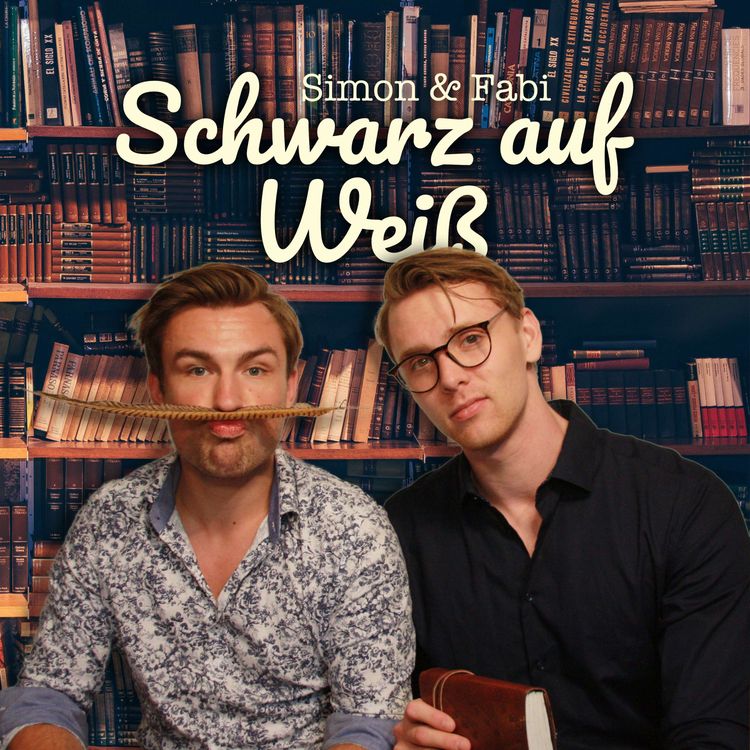 cover art for Fake News:  So leicht ist es, die Öffentlichkeit zu täuschen!