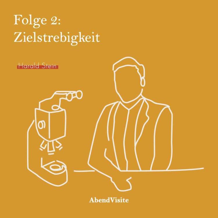 cover art for Zielstrebigkeit - Harald Stein