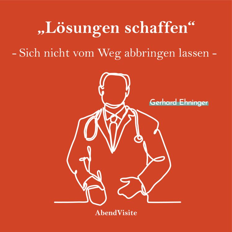 cover art for Lösungen schaffen - Gerhard Ehninger