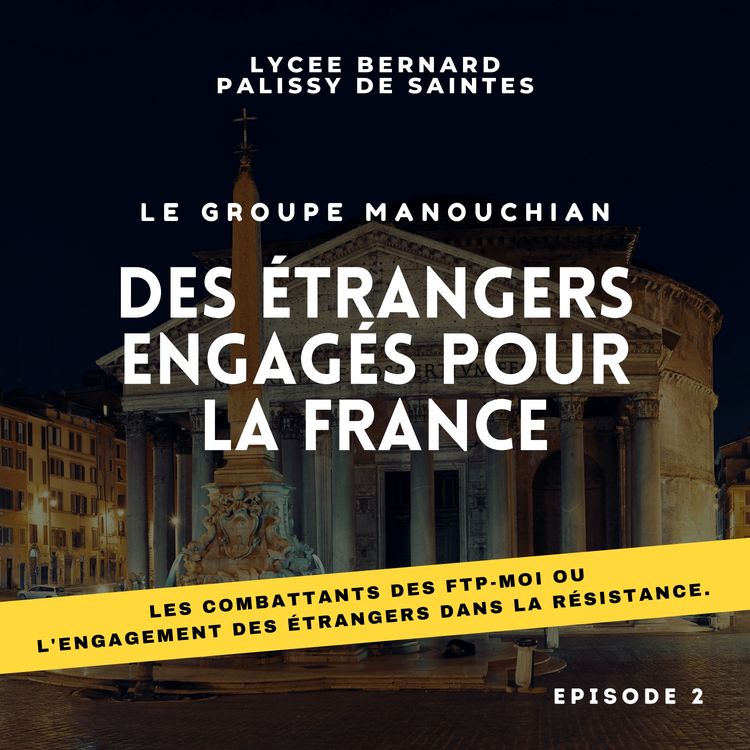 cover art for Les combattants des FTP-MOI ou l'engagement des étrangers dans la résistance