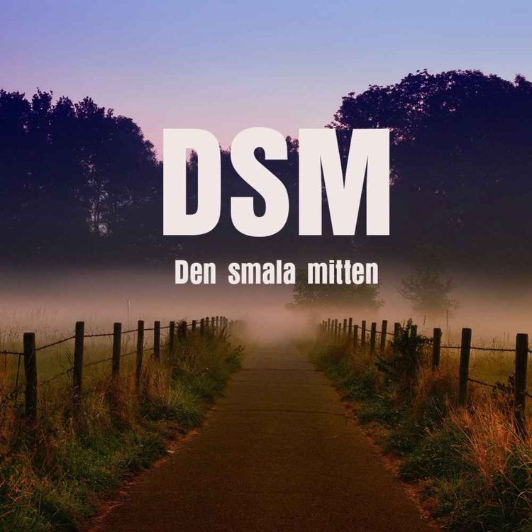 cover art for 38. Liberalerna och betydelsen av deras ajournerade möte