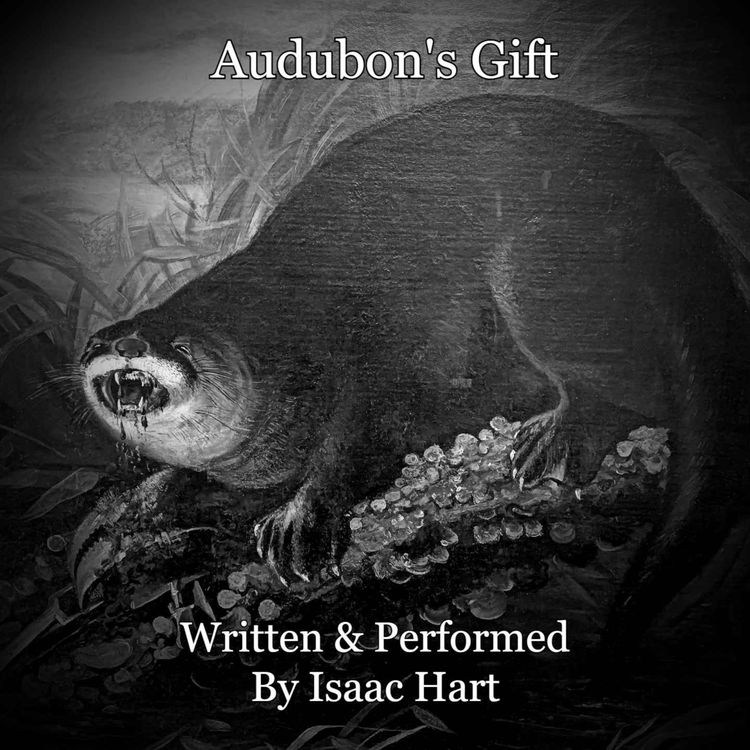 cover art for Audubon's Gift