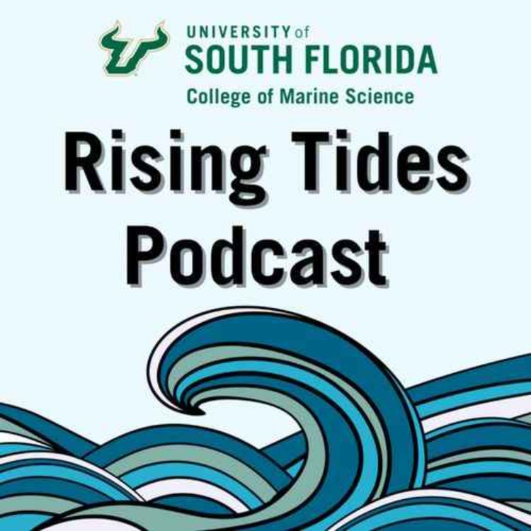cover art for Charting sea level from space