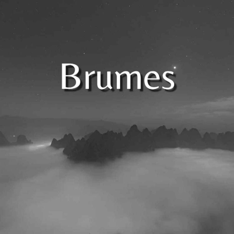 cover art for Brumes