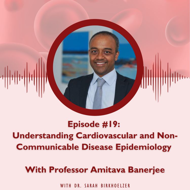 cover art for Episode #19: Understanding Cardiovascular and Non-Communicable Disease Epidemiology 