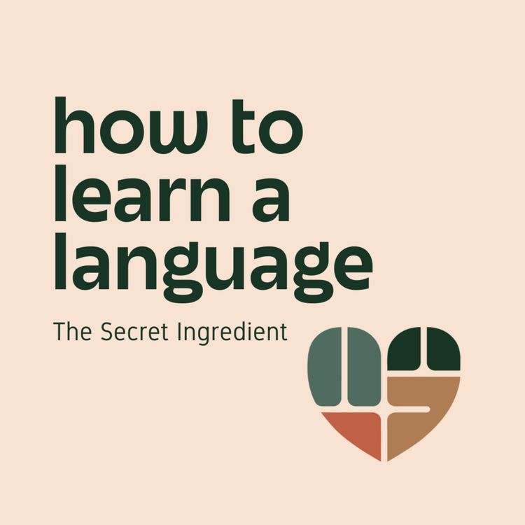 cover art for How to Learn a Language
