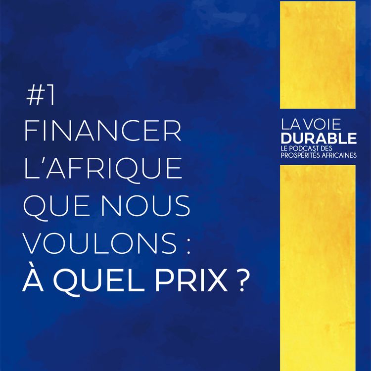 cover art for Financer l'Afrique que nous voulons : à quel prix?