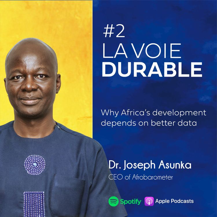 cover art for Preview – Joseph Asunka: Why Africa’s development depends on better data
