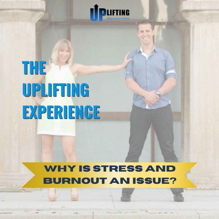cover art for Why Is Stress And Burnout An Issue
