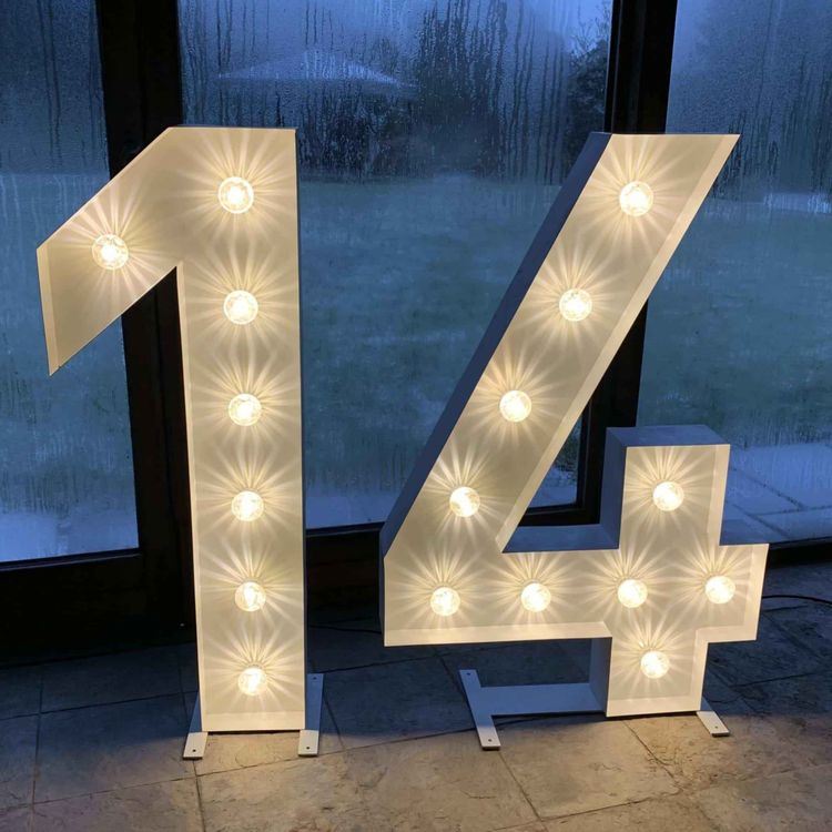 cover art for The Final Fourteen