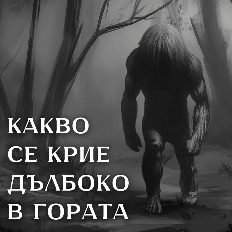 cover art for Moмо - Звярът от Мисури