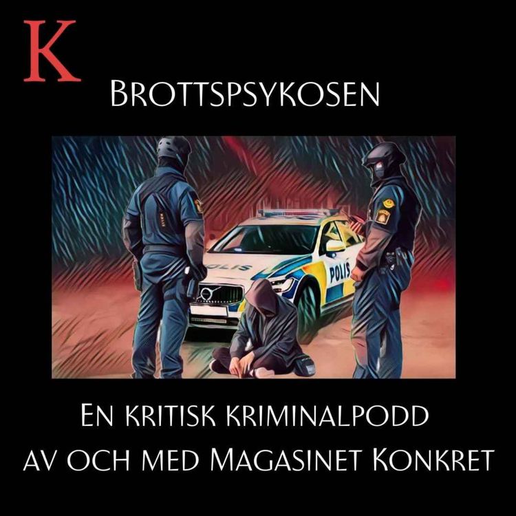 cover art for Brottspsykosen: Den obefintliga våldsvågen