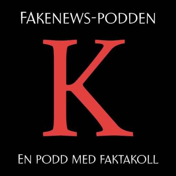 cover art for X vs. Verkligheten: Hur mycket styr plattformen vår världsbild?