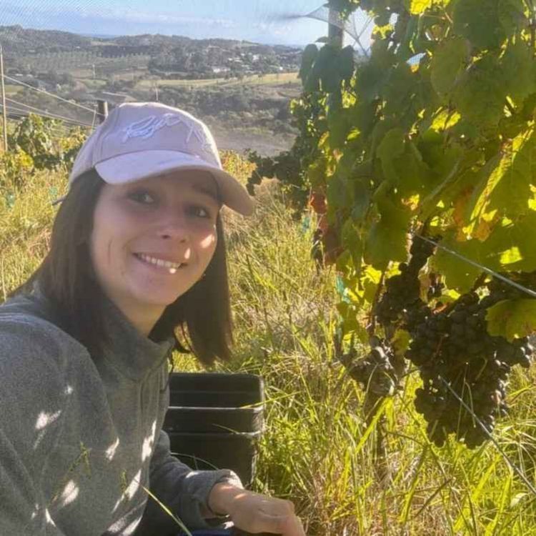 cover art for Nouvelle-Zélande - du vin et des rencontres