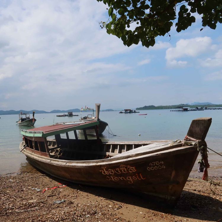 cover art for Dans les pas d’Alice, carnet de route d’une journaliste voyageuse