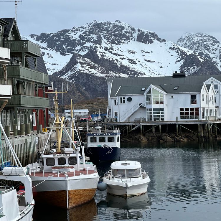 cover art for Lofoten : terre sauvage entre mer et montagne