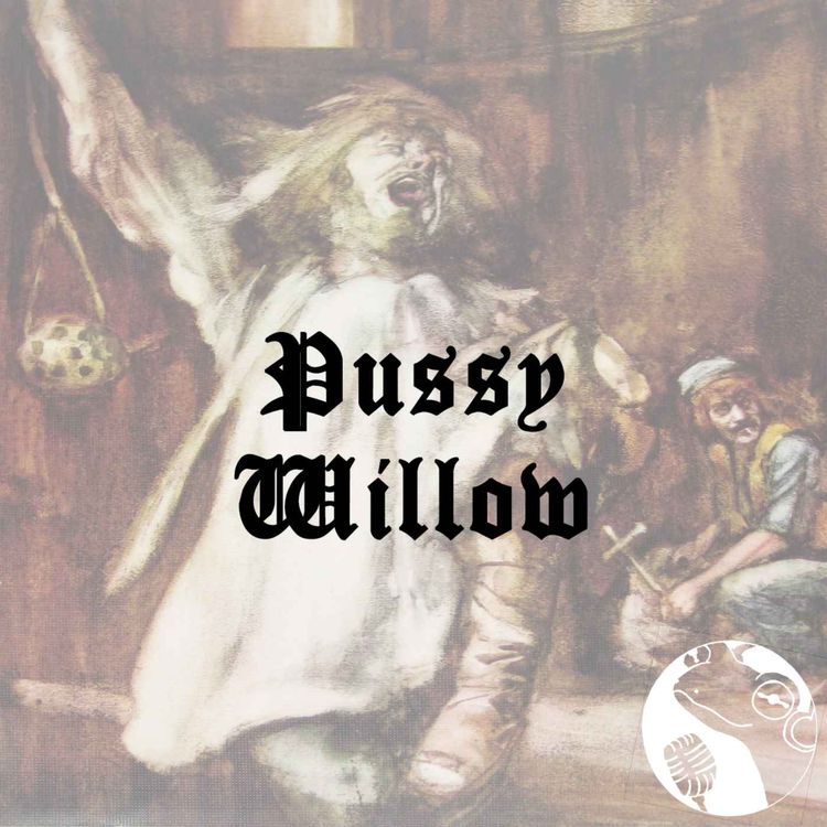 cover art for Pussy Willow