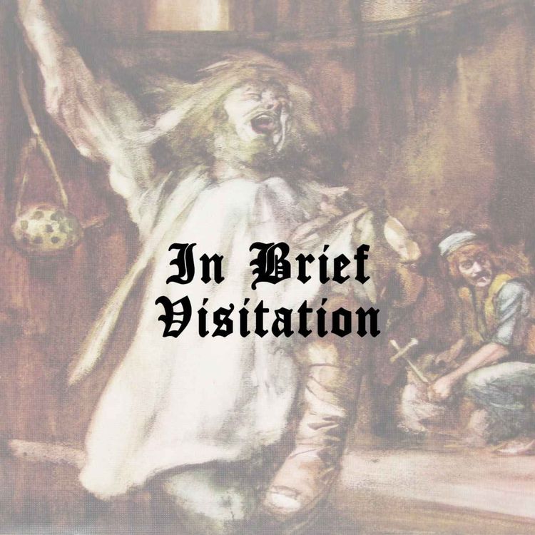 cover art for In Brief Visitation