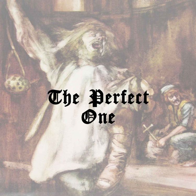 cover art for The Perfect One