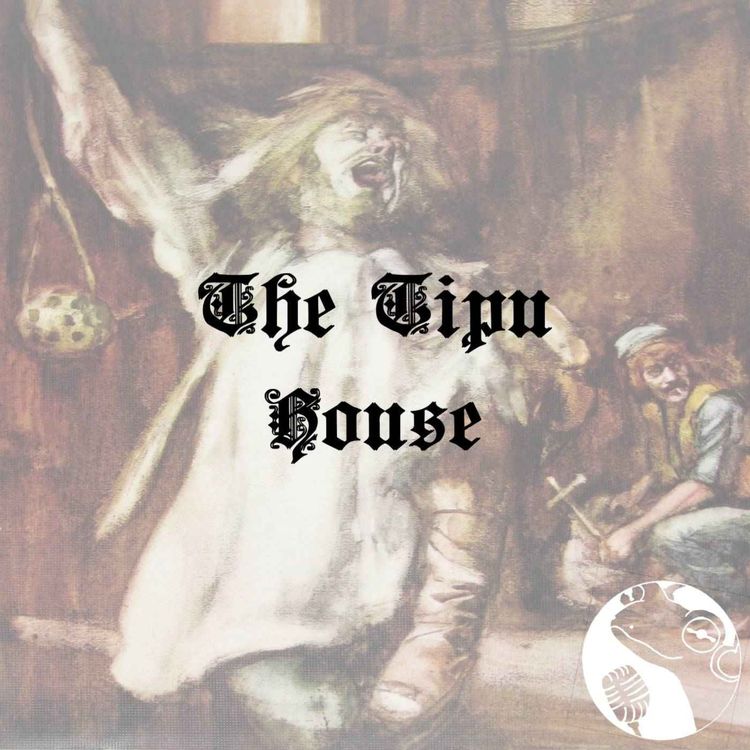 cover art for The Tipu House