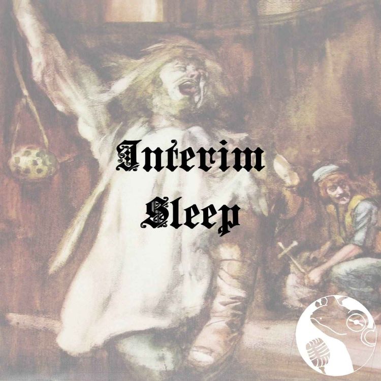cover art for Interim Sleep