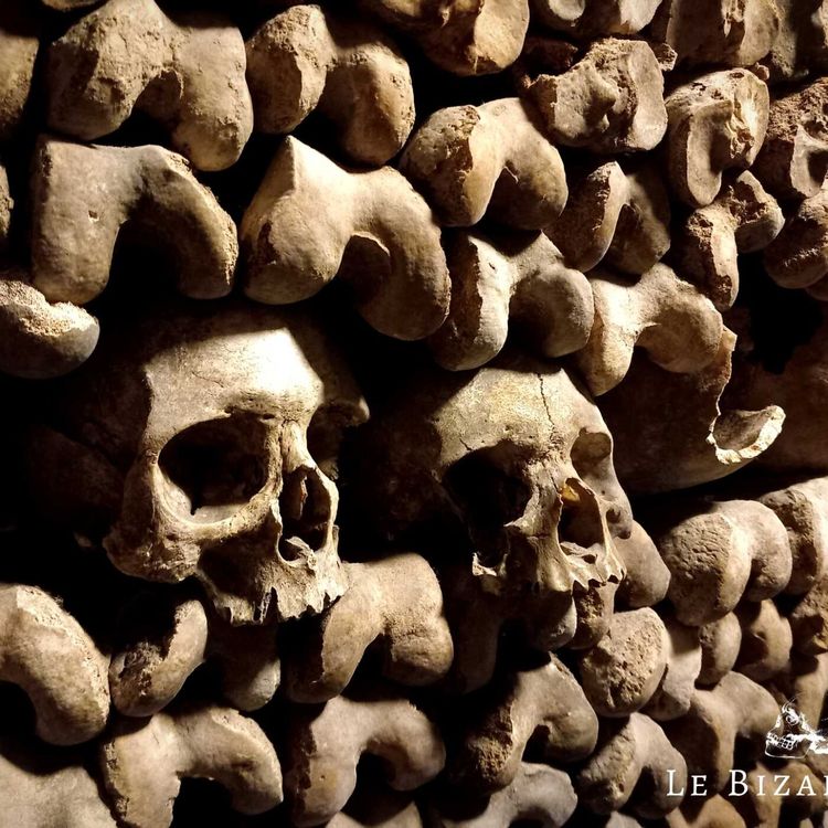 cover art for Ma visite des catacombes de Paris : regards thanatologiques