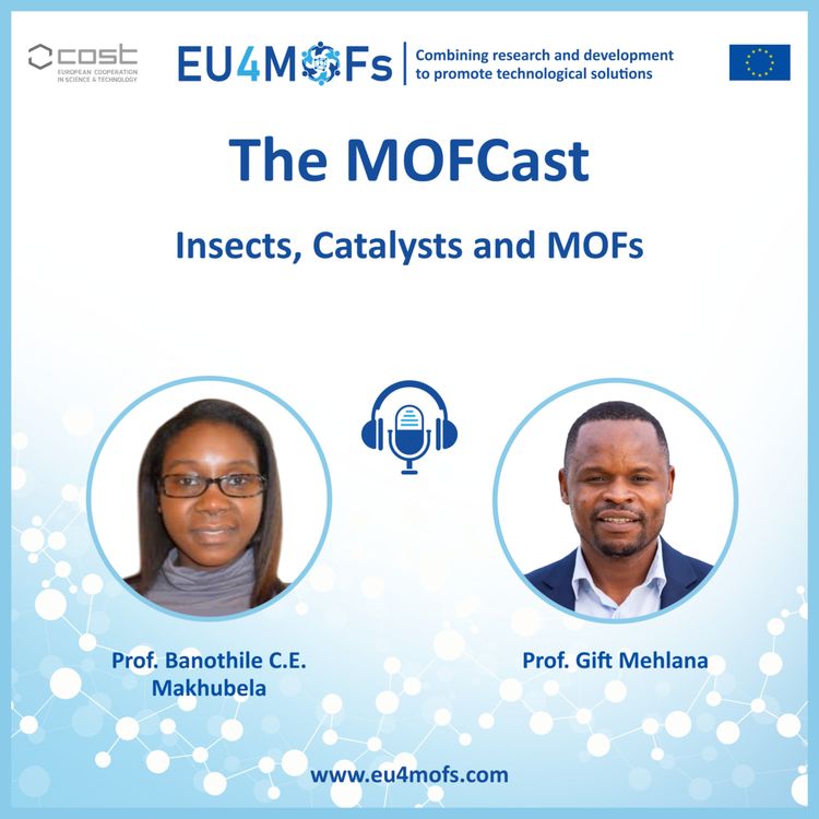 cover art for Insects, Catalysts and MOFs
