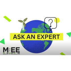 cover art for MEE: - Ask An Expert
